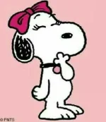 _ (1).webp
